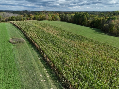 Log Home with Farm for Sale in Southwest Wisconsin - image 25