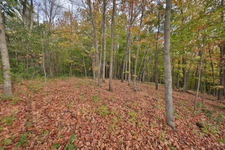 Log Home with Farm for Sale in Southwest Wisconsin - image 38