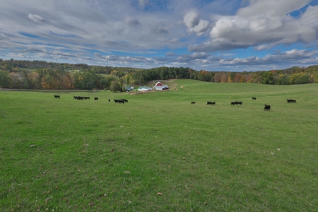 Log Home with Farm for Sale in Southwest Wisconsin - image 35