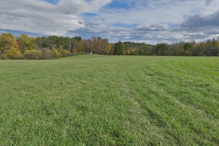 Log Home with Farm for Sale in Southwest Wisconsin - image 30