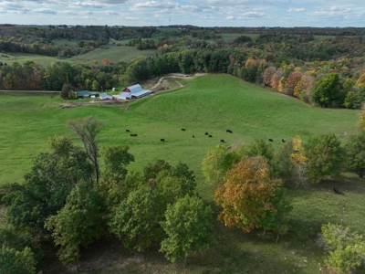 Log Home with Farm for Sale in Southwest Wisconsin - image 2