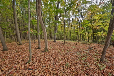 Log Home with Farm for Sale in Southwest Wisconsin - image 39