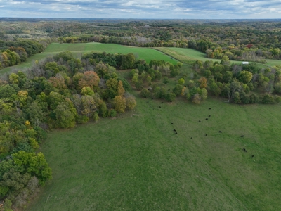 Log Home with Farm for Sale in Southwest Wisconsin - image 28