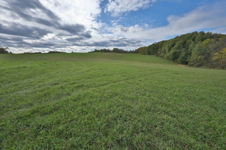 Log Home with Farm for Sale in Southwest Wisconsin - image 36