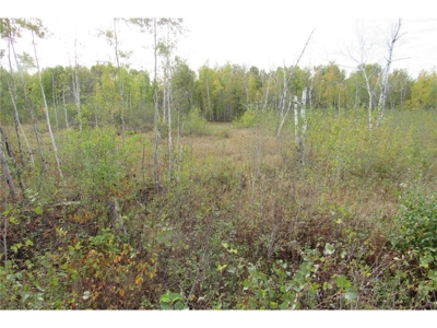 Reduced: Home on Riverfront Land For Sale in Kettle River MN - image 28
