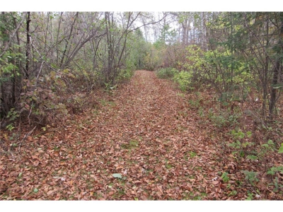 Reduced: Home on Riverfront Land For Sale in Kettle River MN - image 25