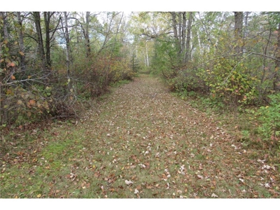 Reduced: Home on Riverfront Land For Sale in Kettle River MN - image 29