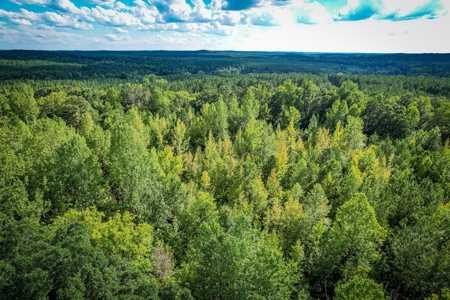 Acreage For Sale in York County SC - image 5