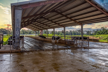 695 Ac Dairy Farm In Lafayette County For Only $5.75Mm!!! - image 20