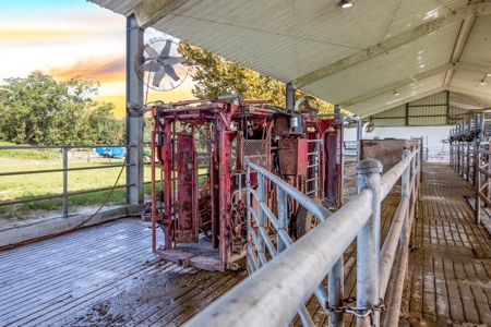 695 Ac Dairy Farm In Lafayette County For Only $5.75Mm!!! - image 8