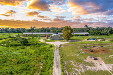 695 Ac Dairy Farm In Lafayette County For Only $5.75Mm!!! - image 37