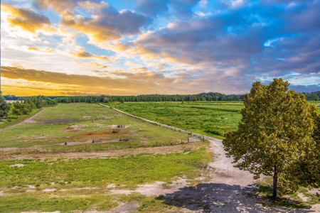 695 Ac Dairy Farm In Lafayette County For Only $5.75Mm!!! - image 38