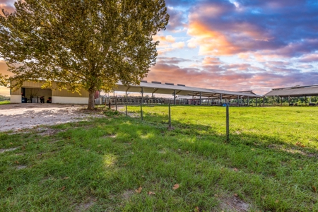 695 Ac Dairy Farm In Lafayette County For Only $5.75Mm!!! - image 17