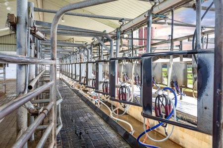 695 Ac Dairy Farm In Lafayette County For Only $5.75Mm!!! - image 9