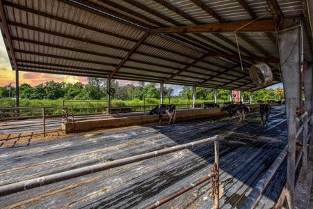 695 Ac Dairy Farm In Lafayette County For Only $5.75Mm!!! - image 19