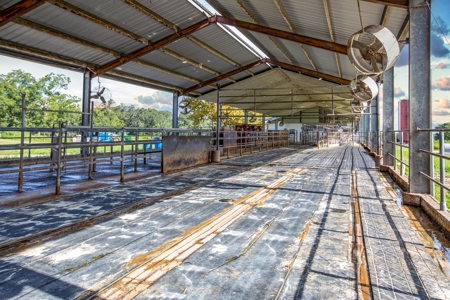 695 Ac Dairy Farm In Lafayette County For Only $5.75Mm!!! - image 10