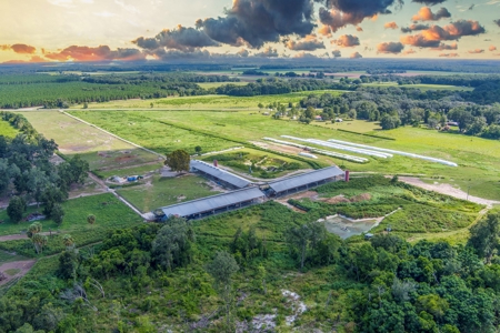 695 Ac Dairy Farm In Lafayette County For Only $5.75Mm!!! - image 35