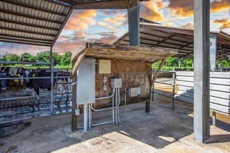 695 Ac Dairy Farm In Lafayette County For Only $5.75Mm!!! - image 26
