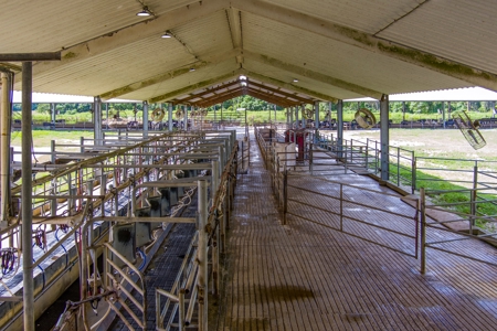 695 Ac Dairy Farm In Lafayette County For Only $5.75Mm!!! - image 39