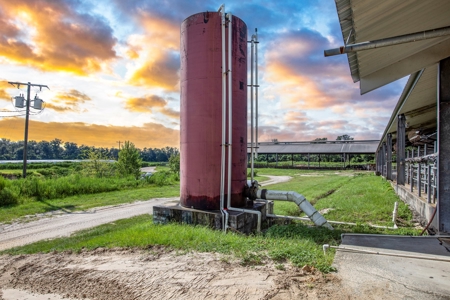 695 Ac Dairy Farm In Lafayette County For Only $5.75Mm!!! - image 16