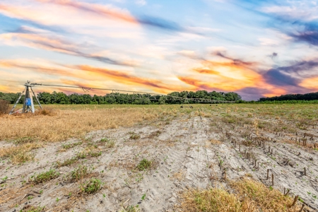 695 Ac Dairy Farm In Lafayette County For Only $5.75Mm!!! - image 29