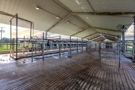 695 Ac Dairy Farm In Lafayette County For Only $5.75Mm!!! - image 7