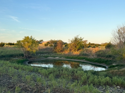 3BR Home on Sprawling 24.71+/- Acres, Gatesville, TX - image 10