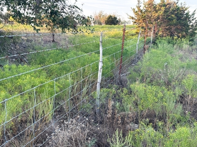 3BR Home on Sprawling 24.71+/- Acres, Gatesville, TX - image 44