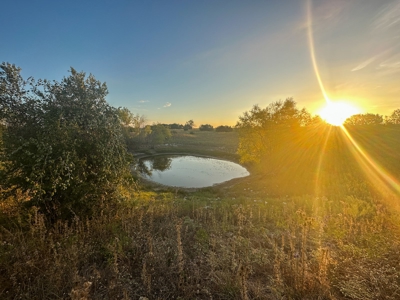 3BR Home on Sprawling 24.71+/- Acres, Gatesville, TX - image 9