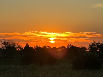 3BR Home on Sprawling 24.71+/- Acres, Gatesville, TX - image 39