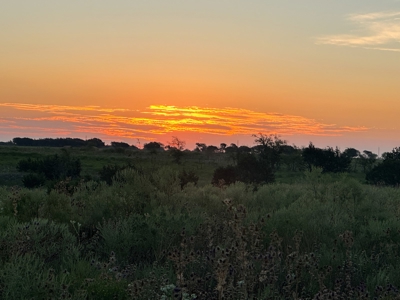 3BR Home on Sprawling 24.71+/- Acres, Gatesville, TX - image 43