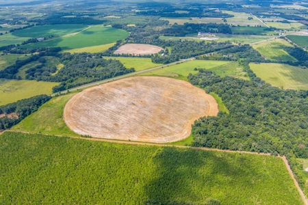 134 Ac Row Crop And Hay Farm Mayo Florida For Only $1.34Mm!! - image 2