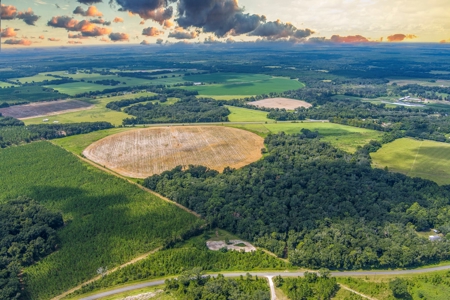 134 Ac Row Crop And Hay Farm Mayo Florida For Only $1.34Mm!! - image 1