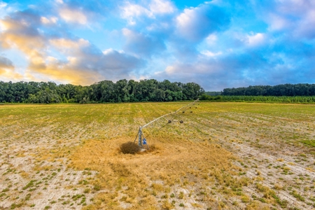 134 Ac Row Crop And Hay Farm Mayo Florida For Only $1.34Mm!! - image 3