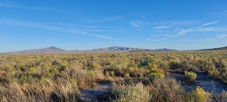 300 +/- Acres/Northern, CA/Farming/Wildlife - image 9