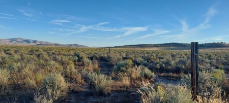 300 +/- Acres/Northern, CA/Farming/Wildlife - image 10