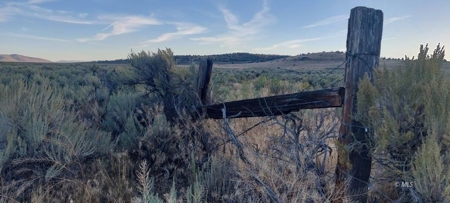 300 +/- Acres/Northern, CA/Farming/Wildlife - image 12