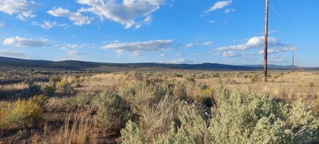 300 +/- Acres/Northern, CA/Farming/Wildlife - image 3