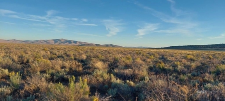 300 +/- Acres/Northern, CA/Farming/Wildlife - image 15