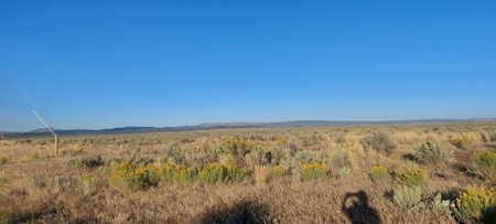 300 +/- Acres/Northern, CA/Farming/Wildlife - image 7