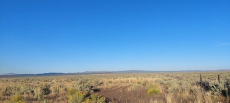 300 +/- Acres/Northern, CA/Farming/Wildlife - image 5