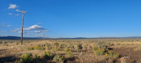 300 +/- Acres/Northern, CA/Farming/Wildlife - image 6