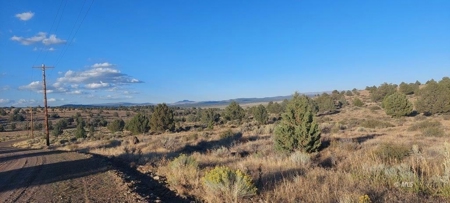 300 +/- Acres/Northern, CA/Farming/Wildlife - image 21