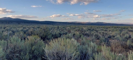300 +/- Acres/Northern, CA/Farming/Wildlife - image 13