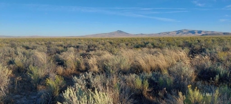 300 +/- Acres/Northern, CA/Farming/Wildlife - image 1