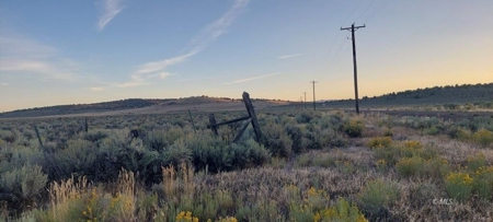 300 +/- Acres/Northern, CA/Farming/Wildlife - image 17