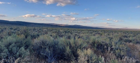 300 +/- Acres/Northern, CA/Farming/Wildlife - image 11