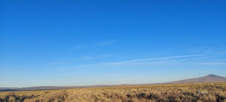 300 +/- Acres/Northern, CA/Farming/Wildlife - image 14