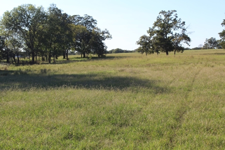 Land For Sale In Red River County, Texas - image 15