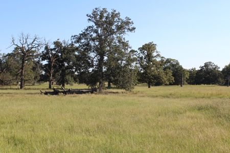Land For Sale In Red River County, Texas - image 10